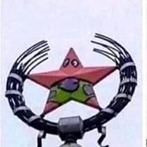 Meet your Posher, Damian